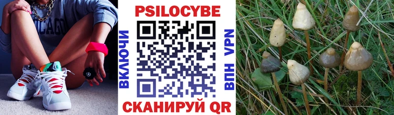 Галлюциногенные грибы GOLDEN TEACHER  Бор 
