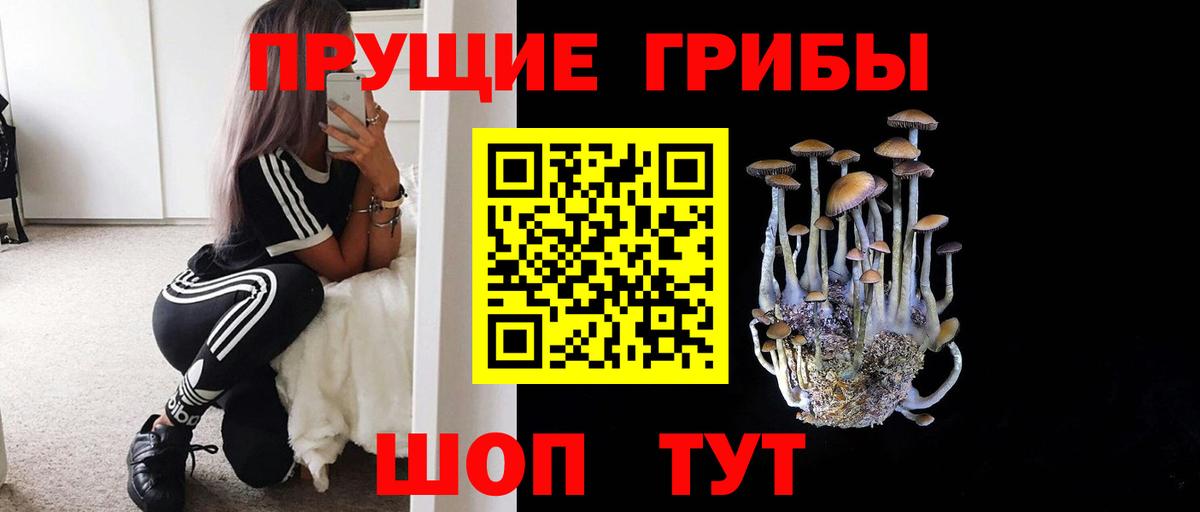 Псилоцибиновые грибы GOLDEN TEACHER  Галлюциногенные грибы Cubensis  Вход с VPN  Бор 